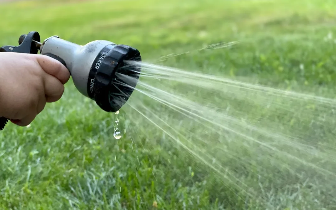 Homestead Living: How to Start Your Self-Sufficient Journey