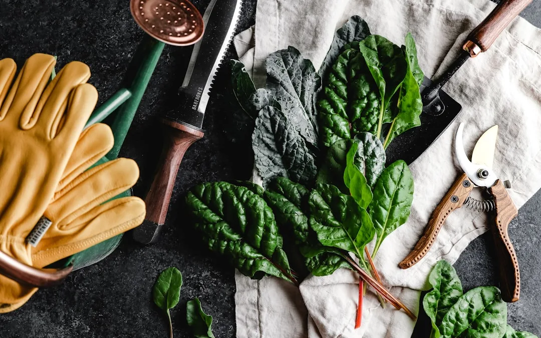 Self-Sustainable Gardening: How to Grow Food Without a Grocery Store