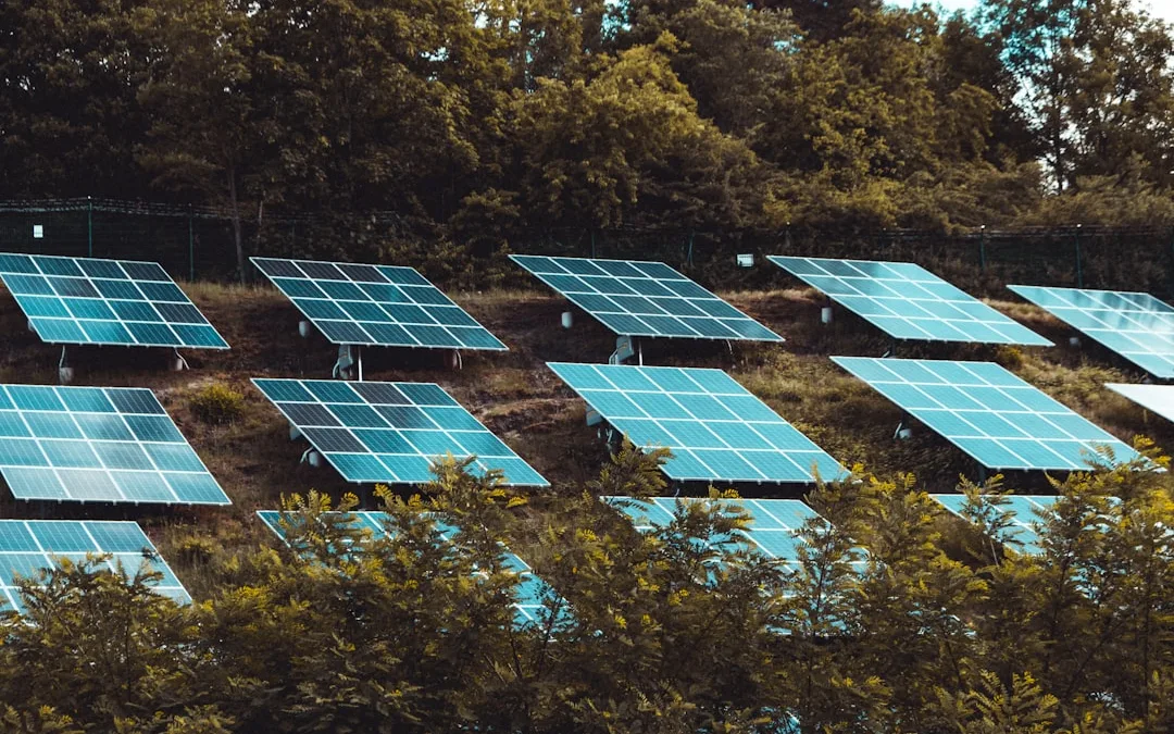 The Ultimate Guide to Self-Sustainability Living