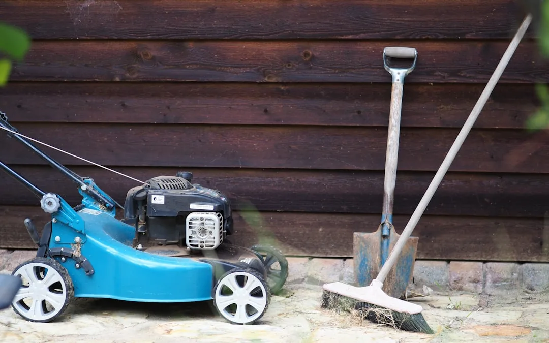 Homesteading on a Budget: How to Live Sustainably Without Breaking the Bank