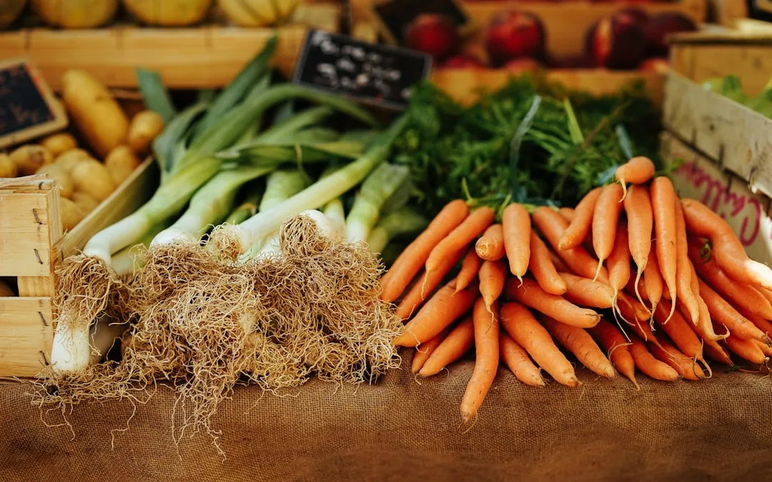 The Best Ways to Make Money From Your Homestead