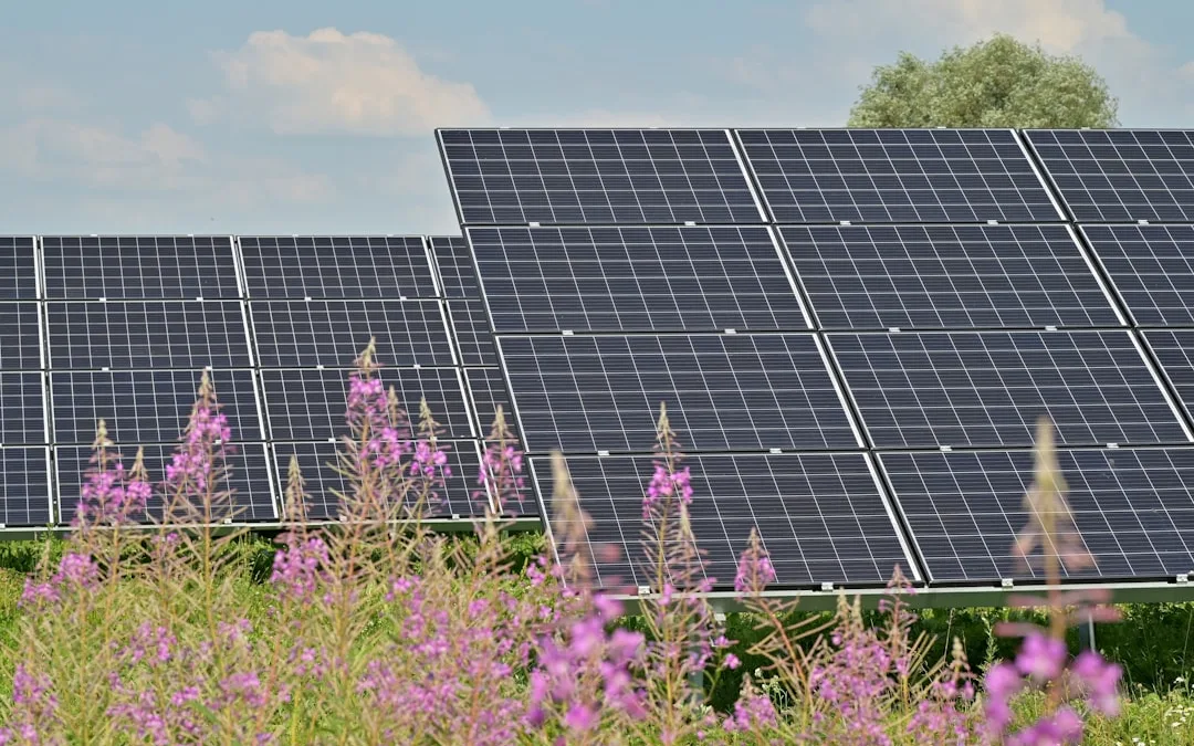 How to Make Your Homestead Fully Self-Sustainable
