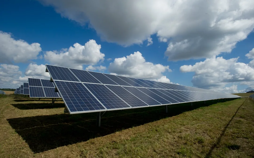 Homestead Living: Essential Skills for a Thriving Off-Grid Life