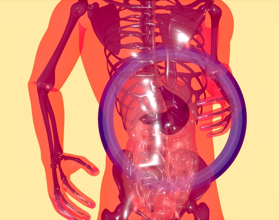 Photo stomach