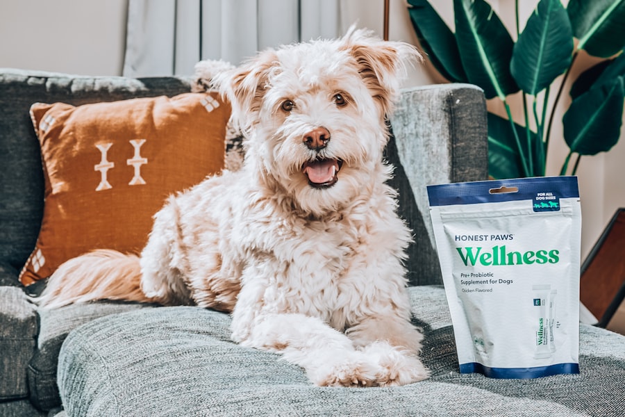 Photo probiotics