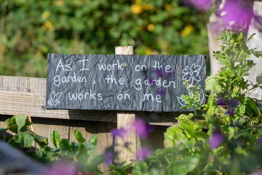 Photo mental wellbeing