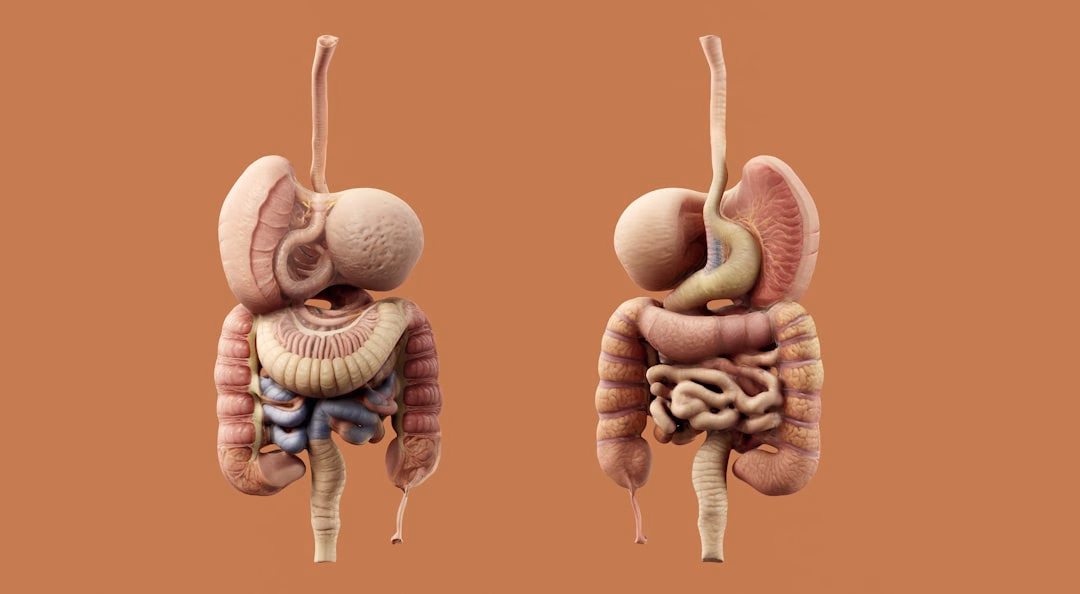 Photo stomach ulcers